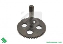 ingranaggio trasmissione cambio grizzly  (3)